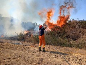 Due incendi a Tarquinia - L'Aeopc in azione