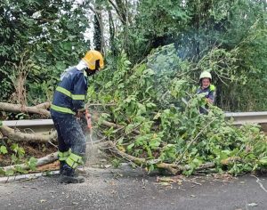 Vetralla - Alberto caduto sulla Cassia bis