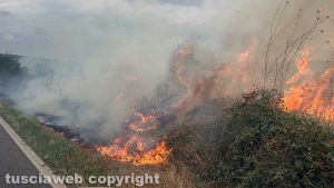 Tuscania - Incendio a bordo strada