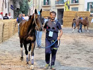 Corse a vuoto, vince il rione Fontana grande con il cavallo Ninfa da Clodia