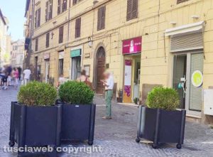 Viterbo - Le fioriere in via Roma