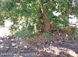 Viterbo - Quercia piena di rifiuti abbandonati