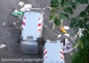 Viterbo - Via IV Novembre - I secchioni dell’immondizia ribaltati dai cinghiali