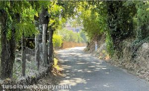 Viterbo - Strada Fagiano
