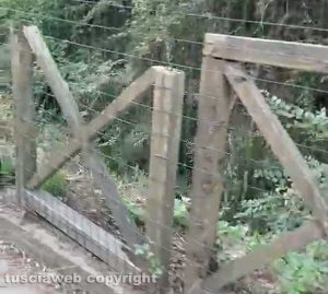 Mazzano Romano - Degrado al parco del Treja