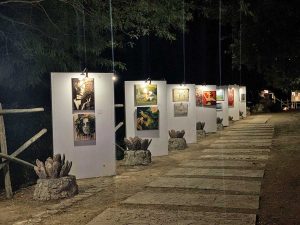 Tarquinia - La rassegna "Tra i rami dell’arte"