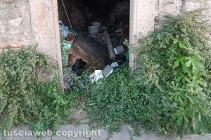 Viterbo - Incuria in via Delle Caprarecce