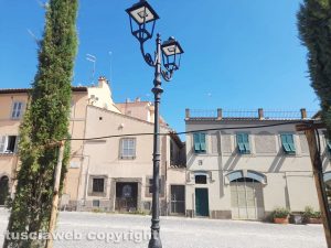 Viterbo - Piazza della Trinità, cavi dell'illuminazione legati tra un cipresso e l'altro