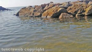 Santa Severa - I liquami in mare