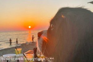 Tarquinia - Un tramonto e Wendy