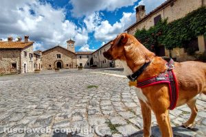 JoJo a spasso nel piccolo Borgo del Sasso