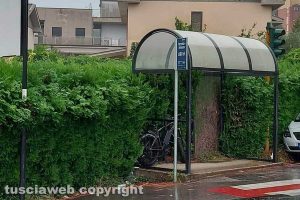 Orte - Incuria nelle pensiline delle fermate degli autobus