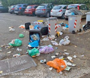 Viterbo - Via Monte Cervino - Il 2 agosto prima del passaggio della raccolta