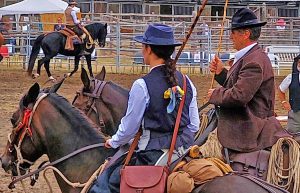 Mostra nazionale del cavallo maremmano