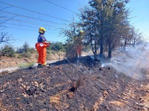 Tarquinia - Incendio a bordo ferrovia