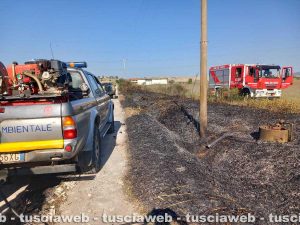 Tarquinia - Incendio in località Olivastro