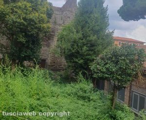 Viterbo - Degrado nell'area adiacente il liceo Ruffini