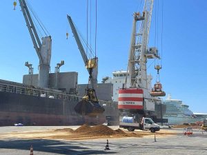 Civitavecchia - Operazioni di carico e scarico al porto