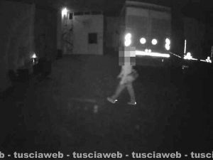 Tarquinia - S'introducono in un'azienda agricola