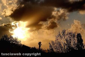 Alba