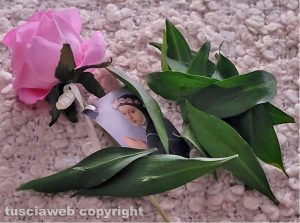 Viterbo - Le tradizionali rose benedette del santuario di Santa Rosa e le foglie con la spina distribuite ai facchini dalle suore di piazza della Morte