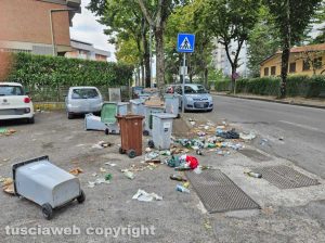 Viterbo - Cassonetti rovesciati dai cinghiali