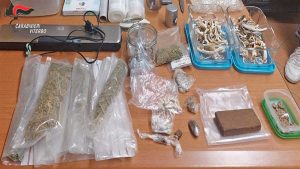 Viterbo - La droga sequestrata