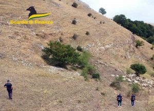 Pescara - Guardia di finanza - Operazione Transumanza