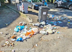 Viterbo - Il passaggio dei cinghiali in via Monte Cervino