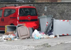 Viterbo - Il passaggio dei cinghiali in via Brenta