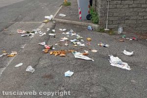Viterbo - Il passaggio dei cinghiali in via Monti Cimini