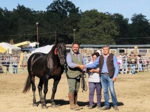 Canino - Lo stallone M.Rum dell'allevamento Delle Valli