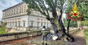 Caprarola - Fulmine colpisce e incendia albero a palazzo Farnese - I vigili del fuoco