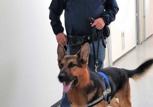 Terni - Controlli polizia con pastore antidroga Odina