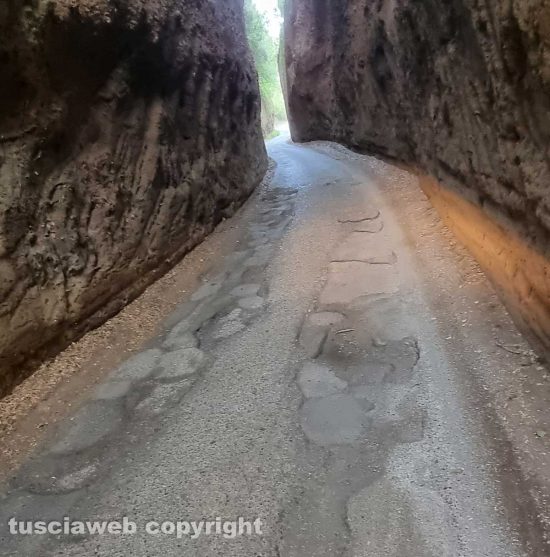 Viterbo - Buche in strada Signorino