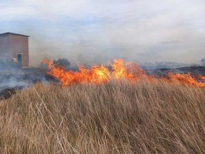 Incendio a Tarquinia, bruciano le Saline
