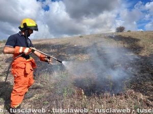 Tarquinia - Fiamme in un campo in località Borgo dell'argento