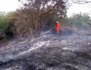 Incendio a Tarquinia