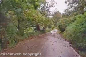 Ronciglione - Detriti lungo la provinciale Valle di Vico