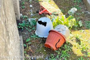 Viterbo - Incuria al cimitero