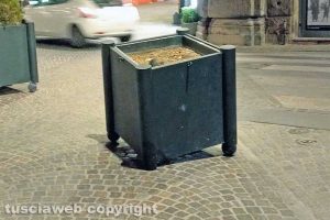Viterbo - Una delle fioriere a piazza del Comune