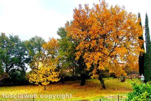 Foliage a Soriano nel Cimino