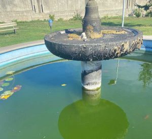 Fabrica di Roma - Incuria all fontana al Parco dei Cedri