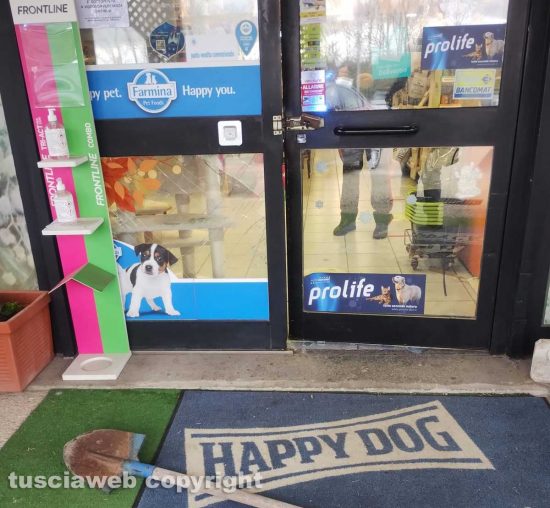 Viterbo - Colpo al Galaxy pet