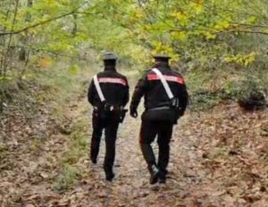 Carabinieri nei boschi - Immagine di repertorio