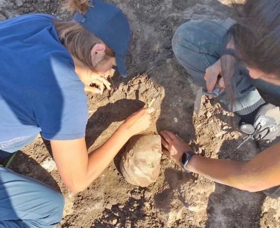 Tarquinia - Scavi in località Pian d’Arcione