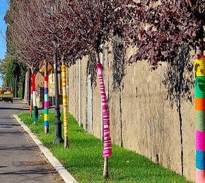 Bassano in Teverina - Giornata degli alberi