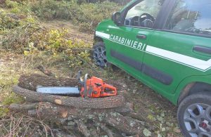 Carabinieri forestali - Immagine di repertorio