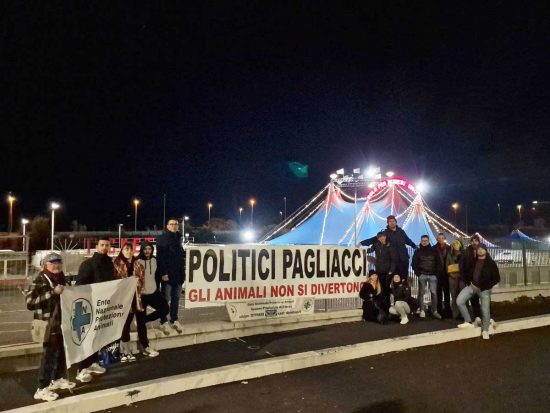 Viterbo - Protesta dei volontari dell'associazione Il Cinghiale Bianco per l'utilizzo degli animali al circo