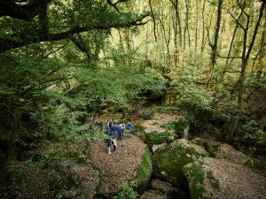 La Carovana stralunata